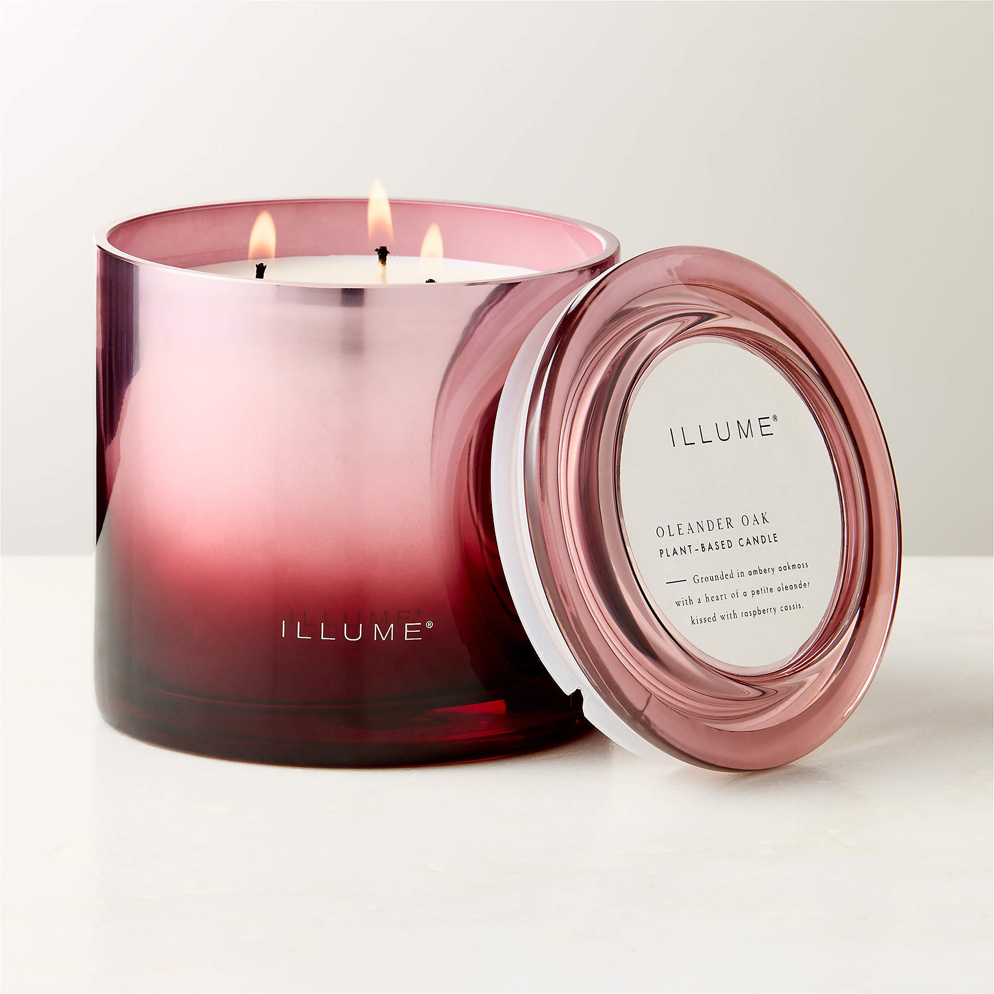 Illume Oleander + Oak Scented Candle 20.8oz + Reviews | CB2 | CB2