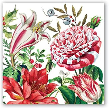 Michel Design Works Cocktail Napkins, Christmas Bouquet | Amazon (US)