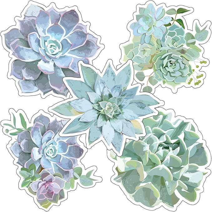Schoolgirl Style - Simply Stylish | Succulents Colorful Cut-Outs, Classroom Décor, 36 Pieces | Amazon (US)