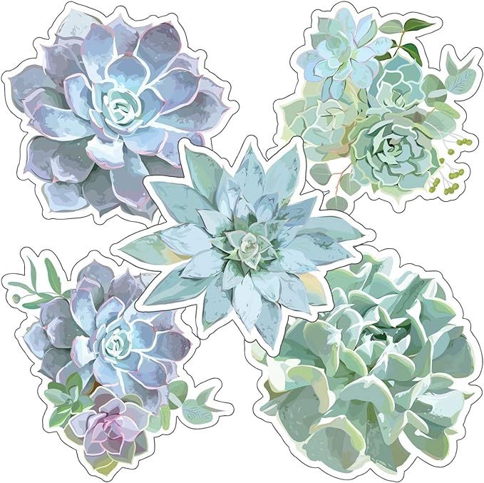 Schoolgirl Style - Simply Stylish | Succulents Colorful Cut-Outs, Classroom Décor, 36 Pieces | Amazon (US)