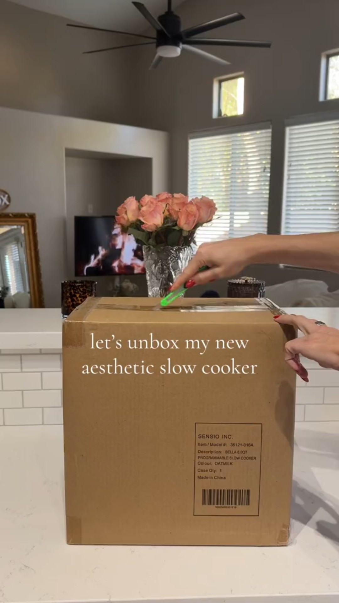 Favorite Bella kitchen appliances 