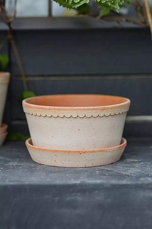 Bergs Helena Terracotta Bowl + Saucer Set | Anthropologie (US)