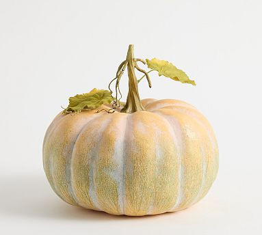 Medium Dusty Orange Pumpkin - 11" Diam | Pottery Barn (US)