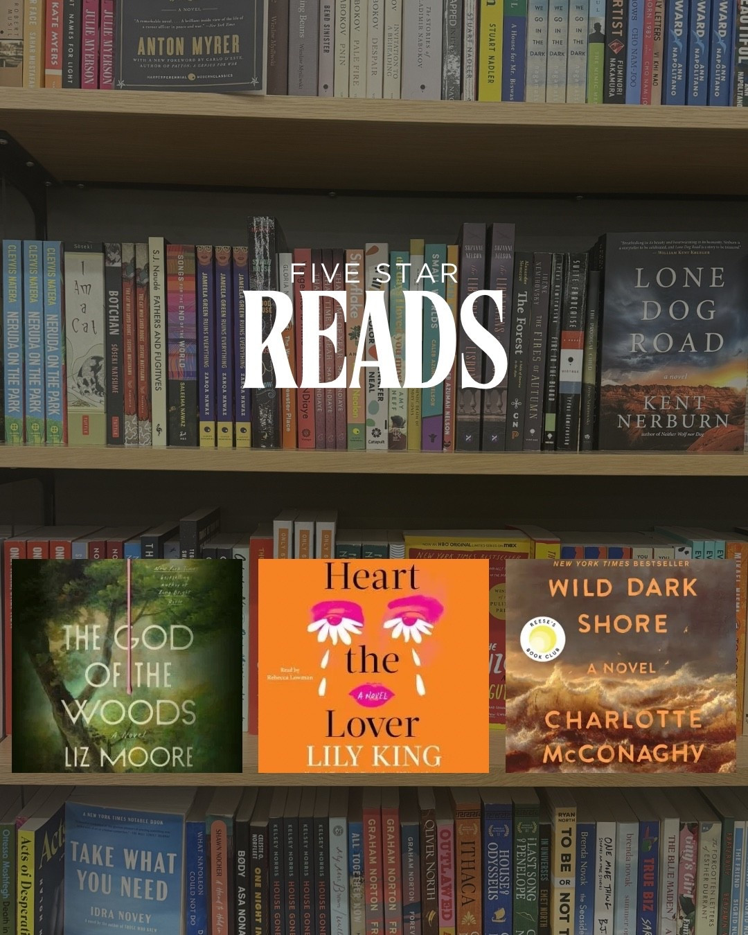 Not my usual content over here, but I love a good book almost as much as a beautiful home. 📚✨

These three are recent reads that were all 5 stars for me:

• The God of the Woods
• Heart the Lover
• Wild Dark Shore

#LTKmomlife #LTKHome #LTKstorytime