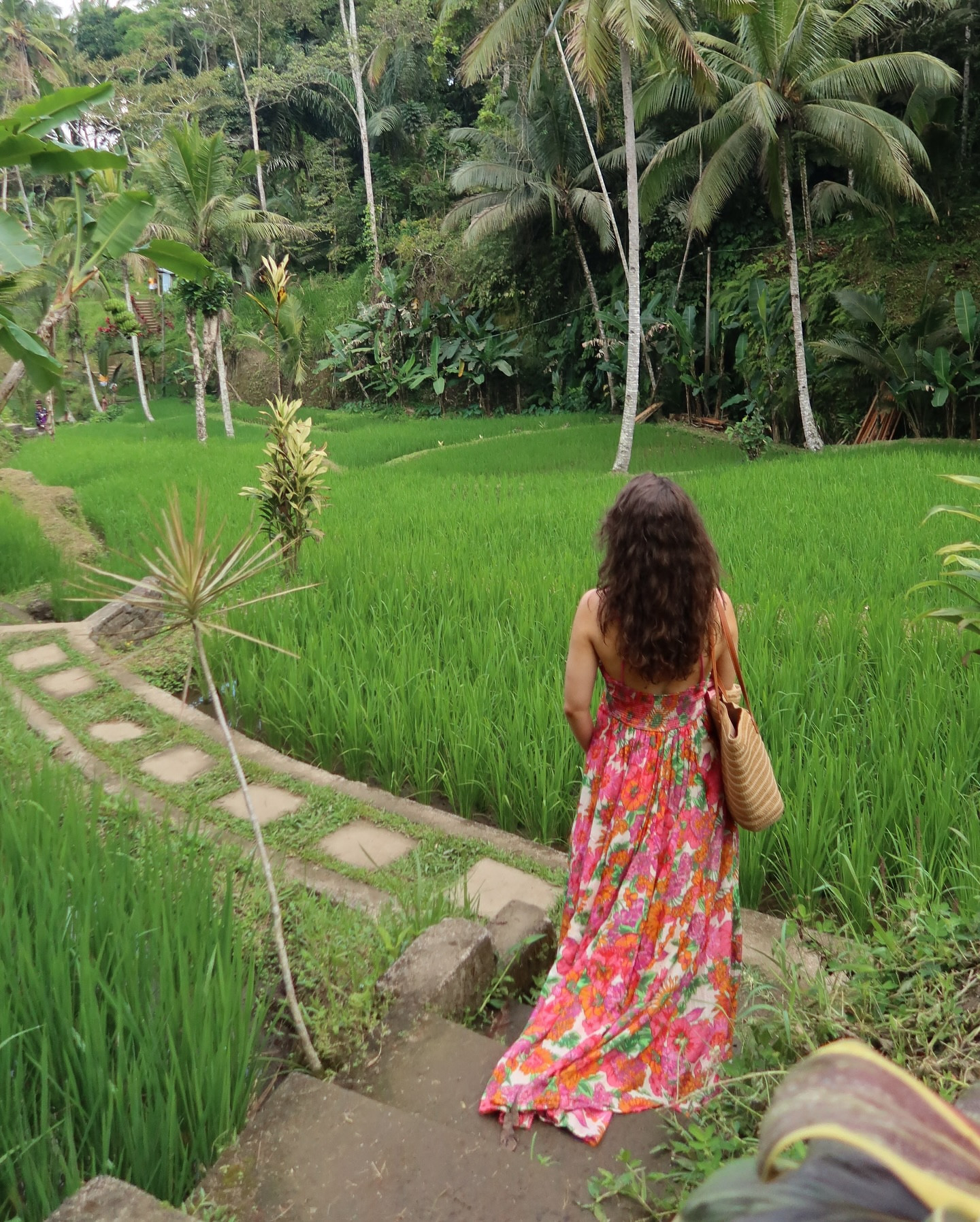 Casually hiking through rice fields in a maxi dress🪷

#Bali #thingstodoinbali #Vacationstyle #Vacationoutfit #Balivacation


#LTKStyleTip #LTKTravel #LTKSeasonal