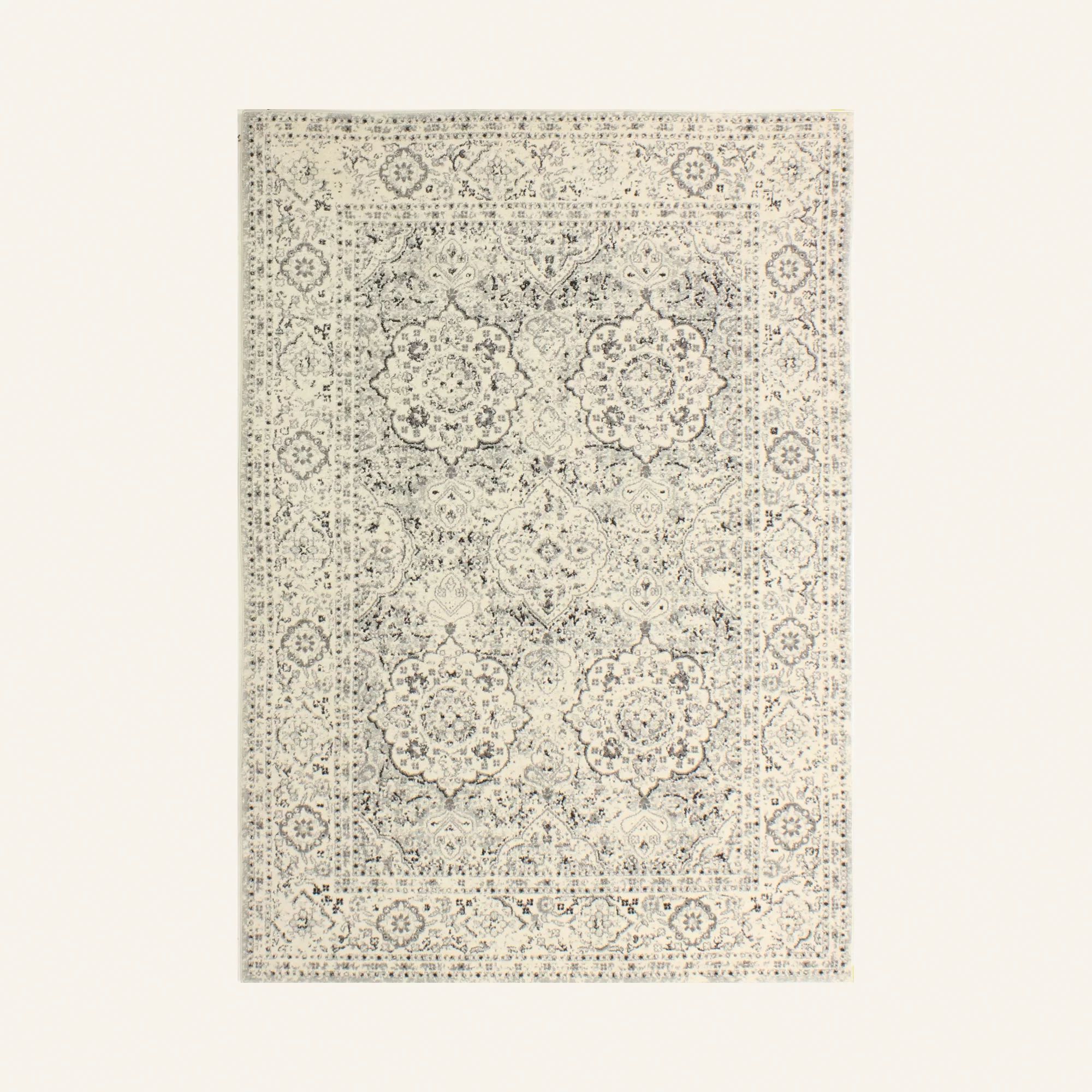 Alfonso Oriental Ivory Area Rug | Wayfair Professional