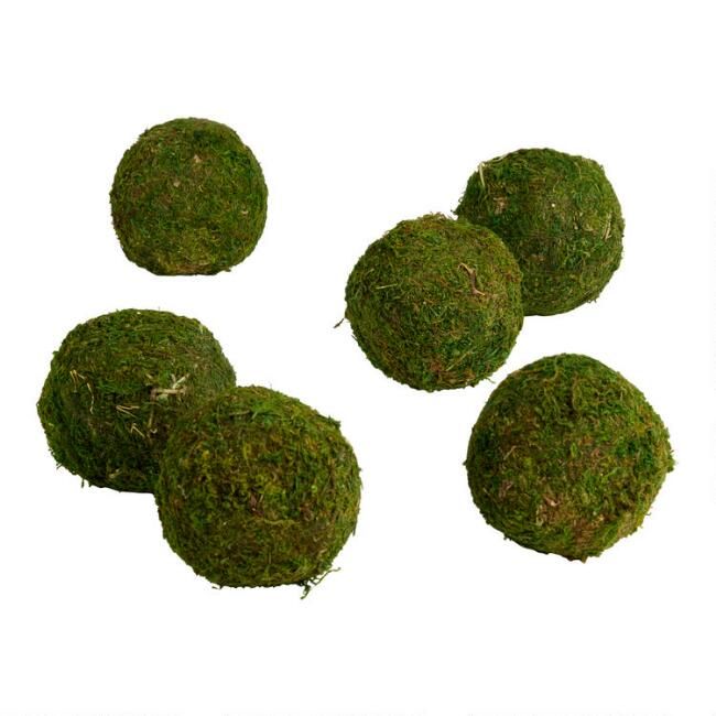 Green Moss Ball Decor 6 Piece | World Market