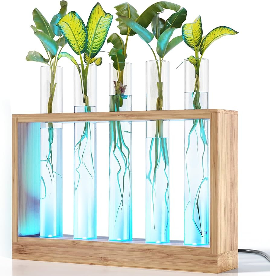 Light Up Bamboo Vial Air Planter - Plant Lover Easter Gifts for Women, Best Indoor Gardening Hous... | Amazon (US)