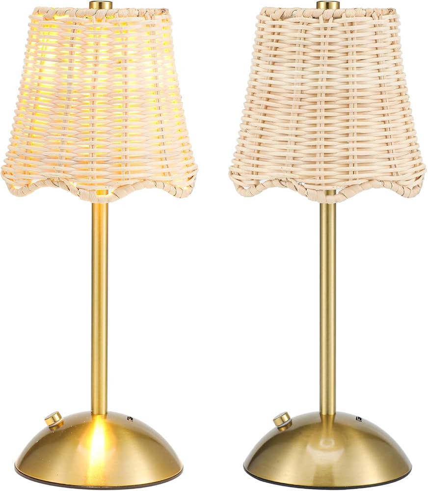 2 Pack Woven Table Lamp 12 Inch Portable Cordless Table Lamp Rechargeable Gold Bedside Light with... | Amazon (US)
