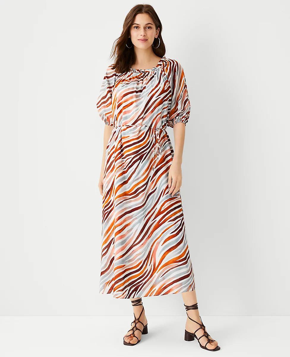 Zebra Stripe Boatneck Midi Dress | Ann Taylor (US)