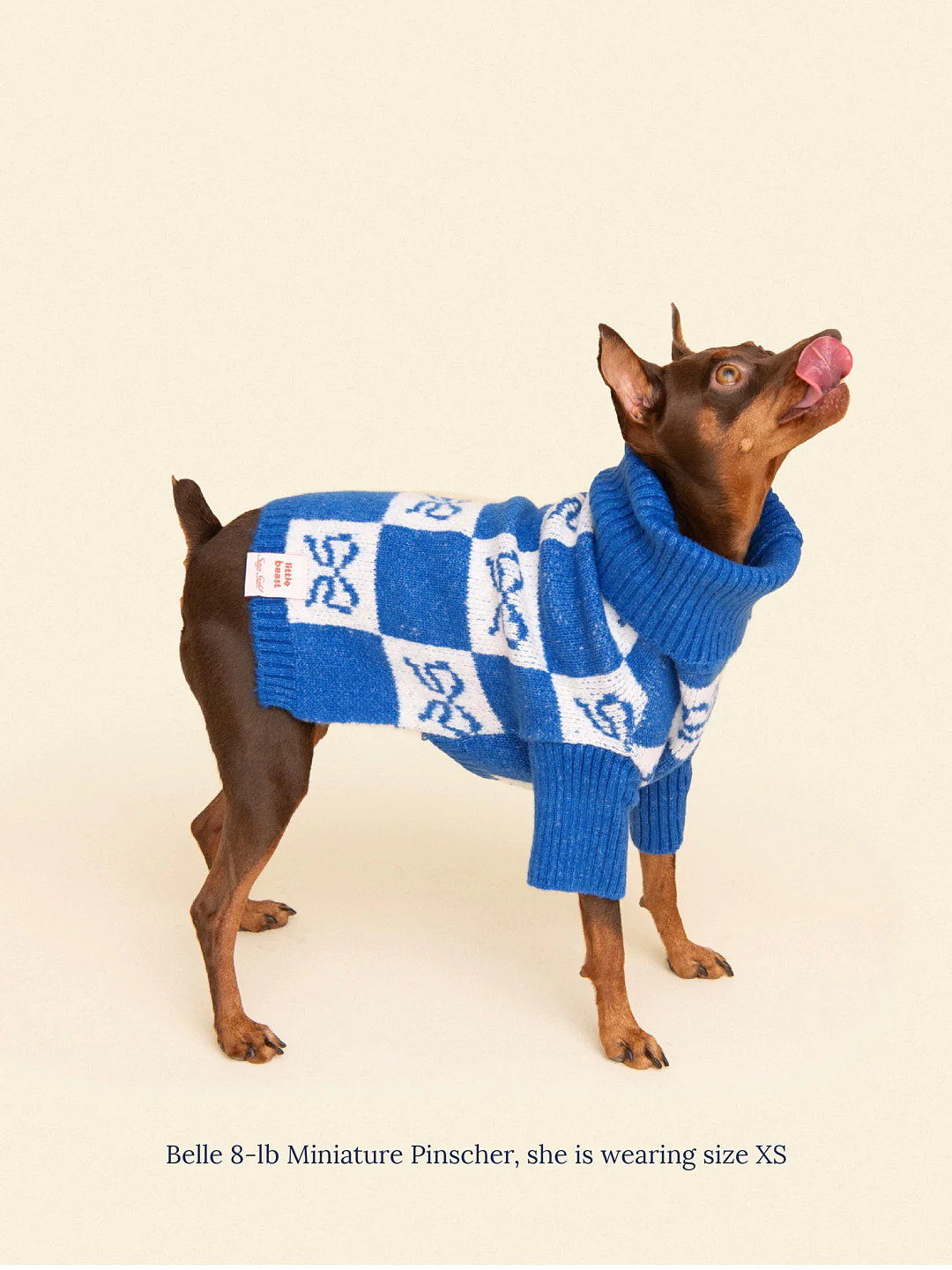 Meet the Parents Sweater - Bows | Lisa Says Gah