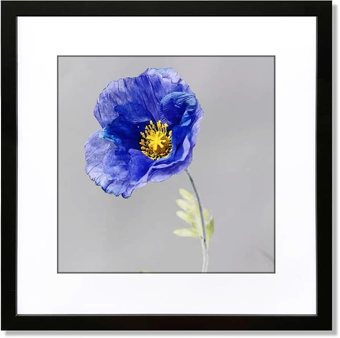 VNVNK 20x20 Frame Black, Perfect for 20x20 Inch Picture without Mat or 16x16 Inch Picture with Ma... | Amazon (US)
