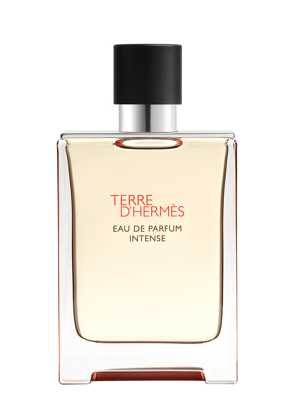 Terre d'Hermès Eau de Parfum Intense 100ml | Harvey Nichols