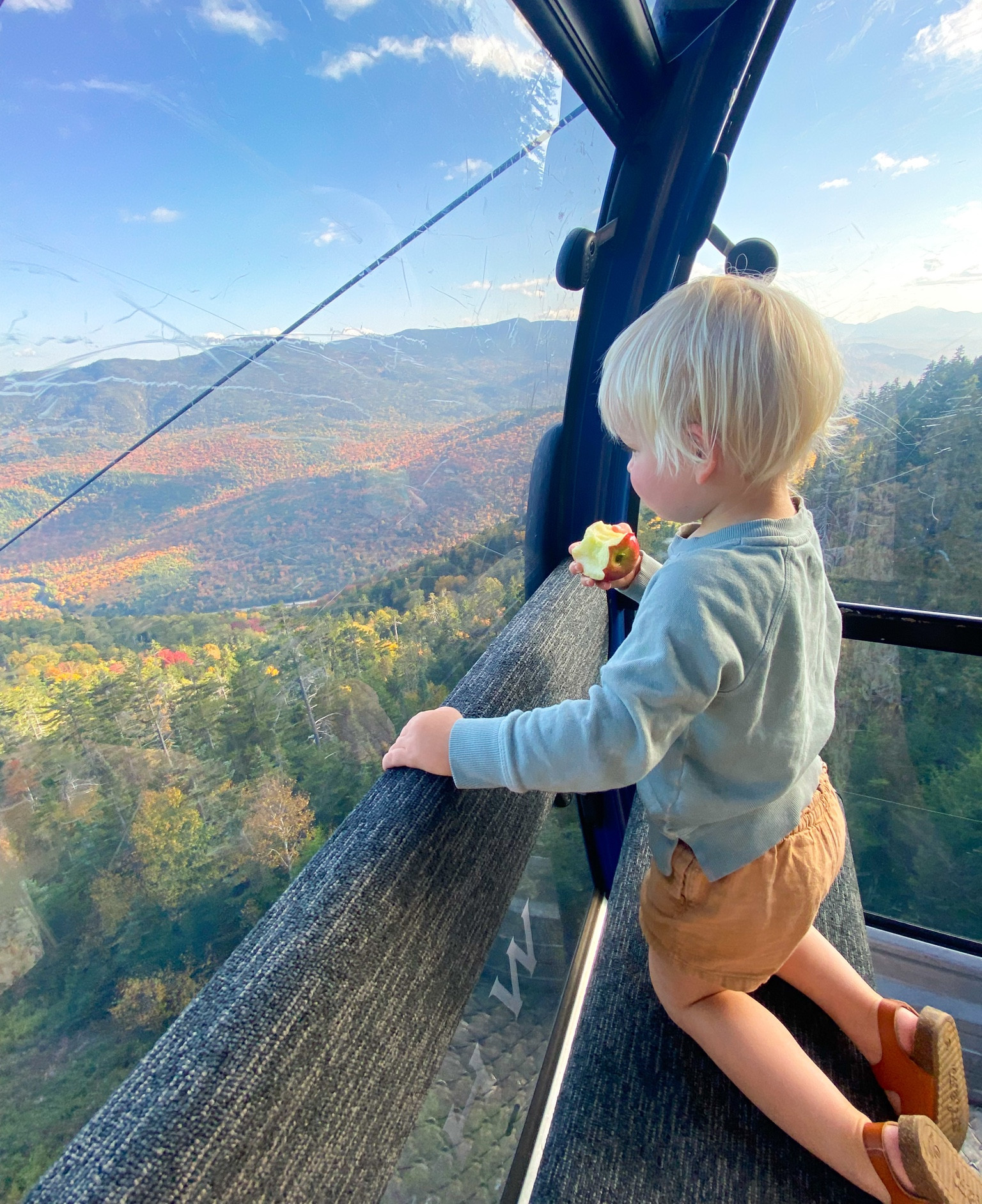 Leaf peeping!🍁 Fun fact I buy girls shorts for Callum because I like the shorter look versus long look for little boys shorts. 

#LTKSeasonal #LTKbaby #LTKfamily