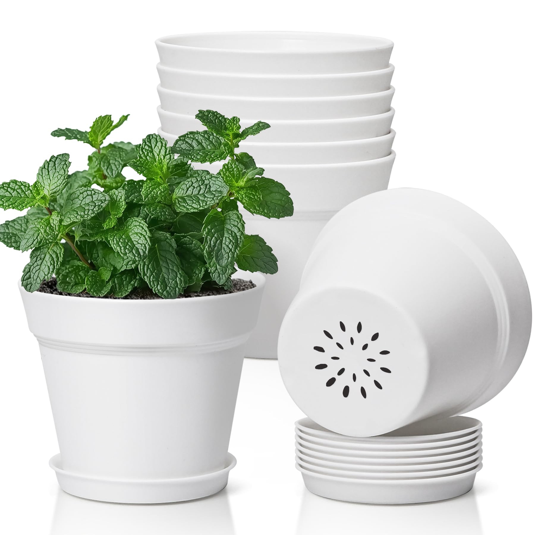 T4U 5 Inch Plant Pot 8-Pack, Plastic Pots with Drainage Hole and Saucer, Decorative Flower Pots B... | Amazon (US)