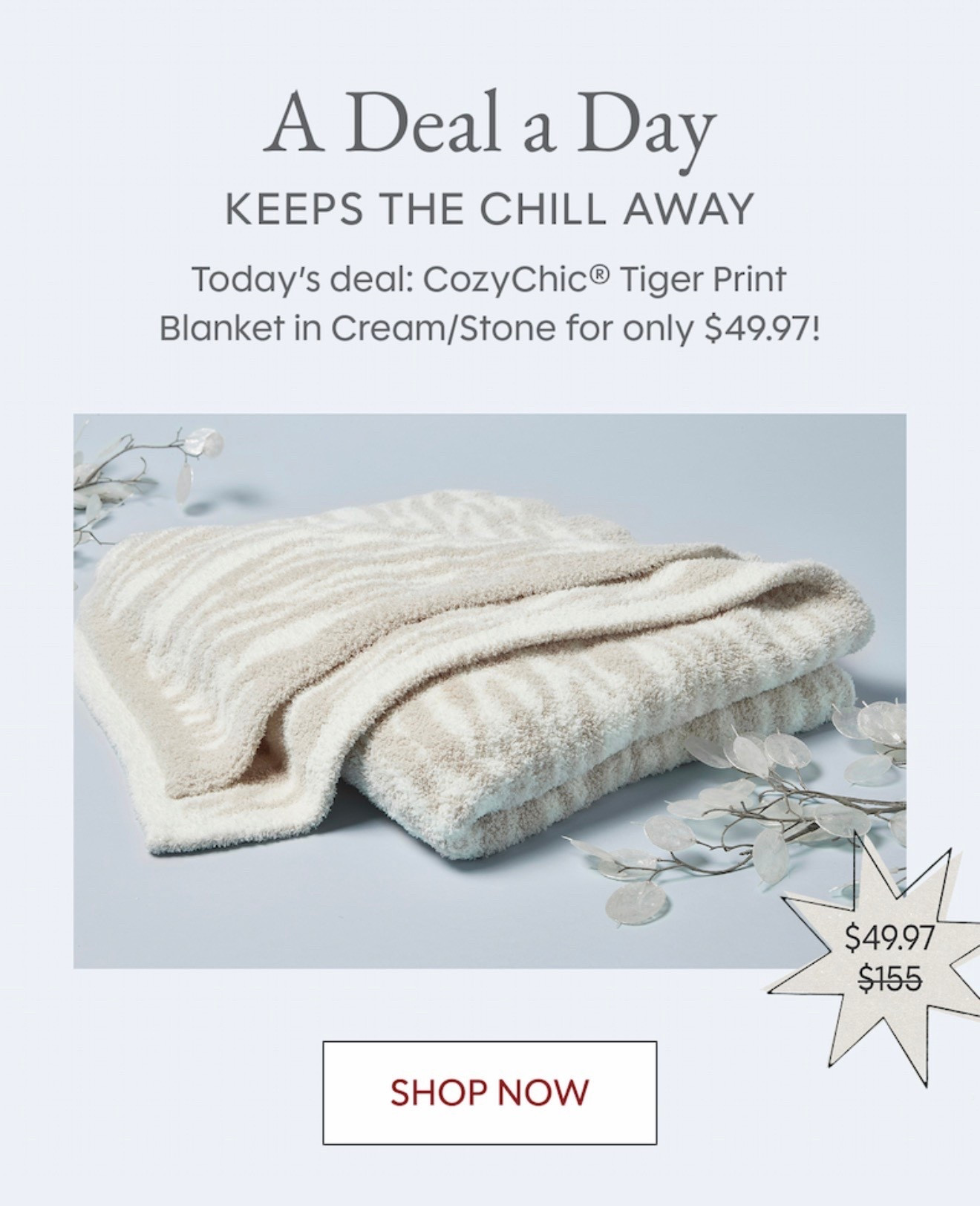 Barefoot dreams blanket for the low low! 🐅

#LTKFindsUnder50 #LTKHoliday #LTKGiftGuide