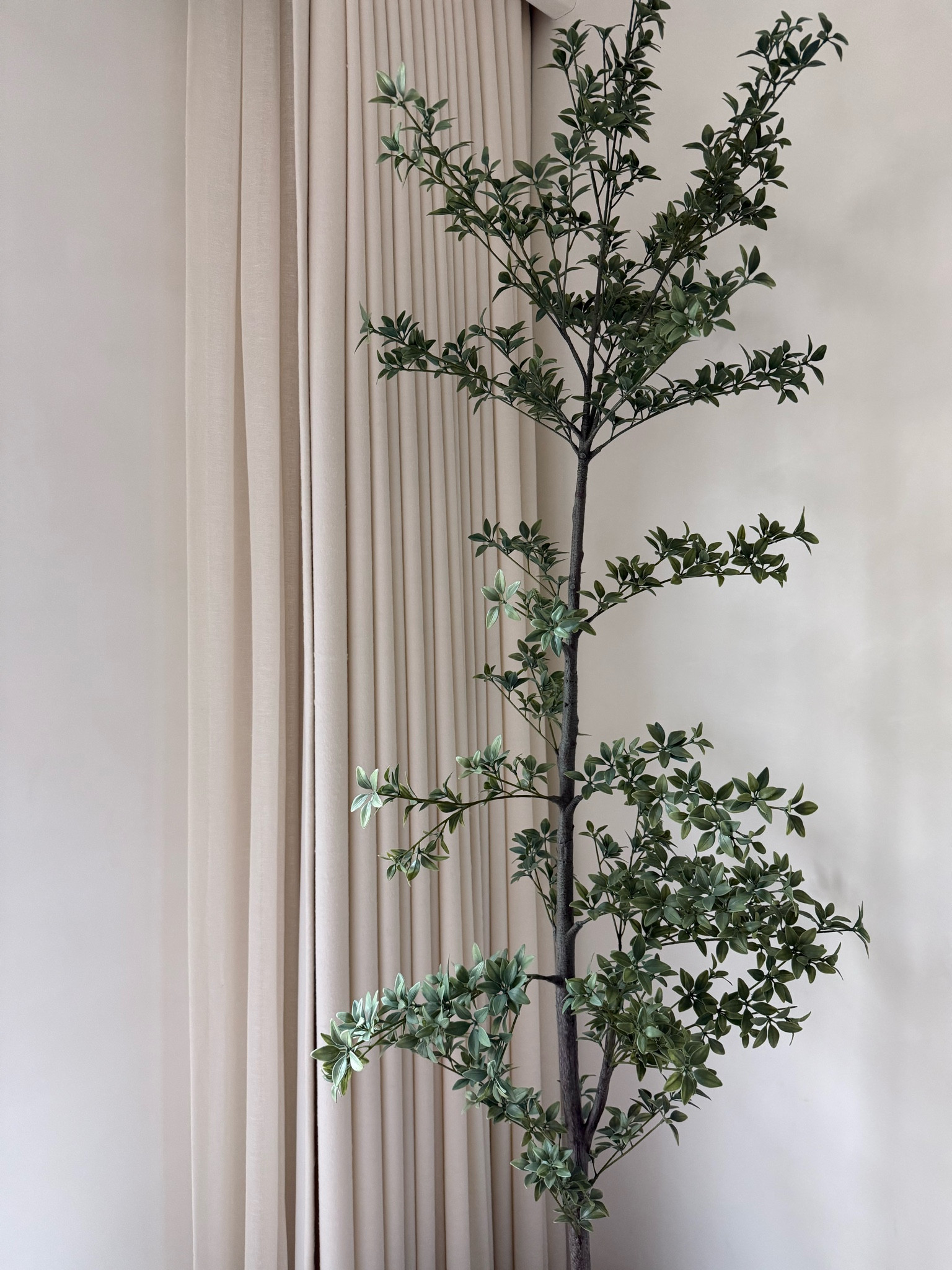 Faux Black Olive Tree 🌿

Faux Olive Tree | Faux Tree | Faux Plant | Fake Black Olive Tree | Fake Olive Tree | 7 Foot Tree | 9 Foot Tree | Pottery Barn Olive Tree | 

#LTKStyleTip #LTKSaleAlert #LTKHome