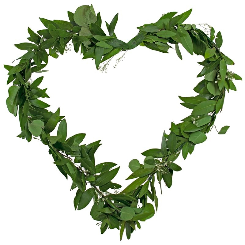 24in Bay Leaf Hanging Heart Wreath with Gypsy Ophelia Baby's Breath Accents All Real Foliage | Amazon (US)