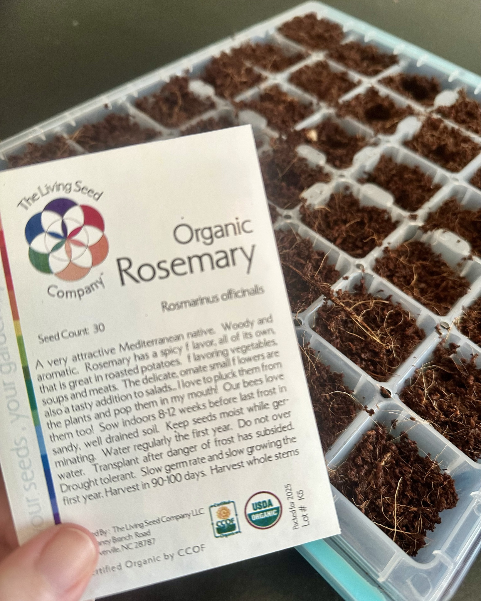 Spring means it’s time to begin planting! This year we are planting herbs and a variety of vegetables, so we are using a starter for a good number of them and then we will transplant them to our larger raised beds in the garden 🌱🥕🧅🥬

If you’re a beginner and you’re wanting to start an easy herb garden or need some vegetable patch / garden ideas, check out the below.

#LTKHome #LTKFindsUnder50 #LTKSeasonal