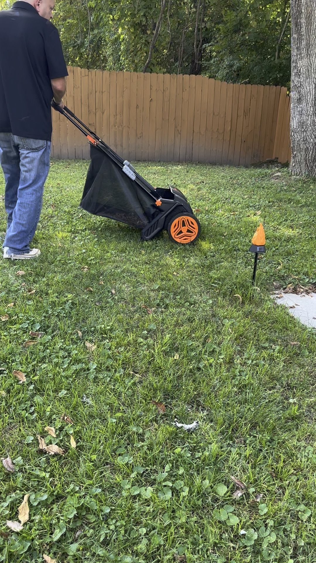 Yard sweeper! Easier than raking leaves. Easy collection for composting 

#LTKfamily #LTKmens #LTKSeasonal