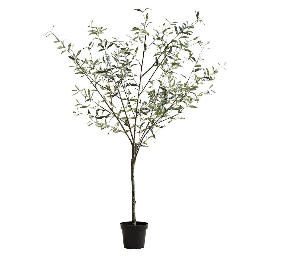 Faux Potted Olive Tree, 7 Ft. | Pottery Barn (US)