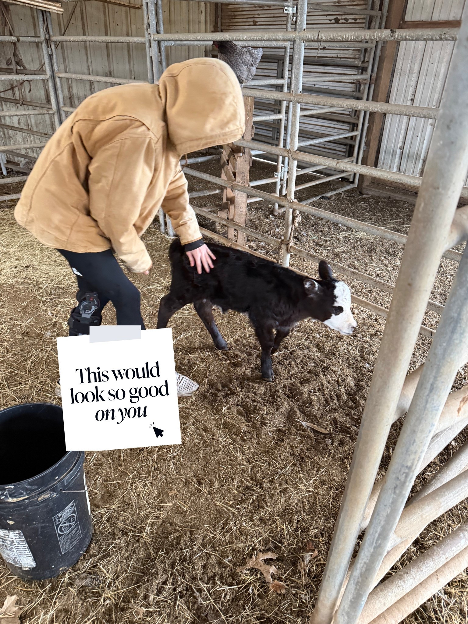 When the temps change and you still have to feed the orphan babies… I stay warm in my Carhartt gear. I oversized up in this jacket bc I like it longer and being able to throw it over sweatshirts. The cows like to lick it and I can always throw in the washer. #carhartt my bibs and coveralls are always a win too. #ltkood #ltkmorningroutine

#LTKGiftGuide #LTKHoliday #LTKdayinmylife