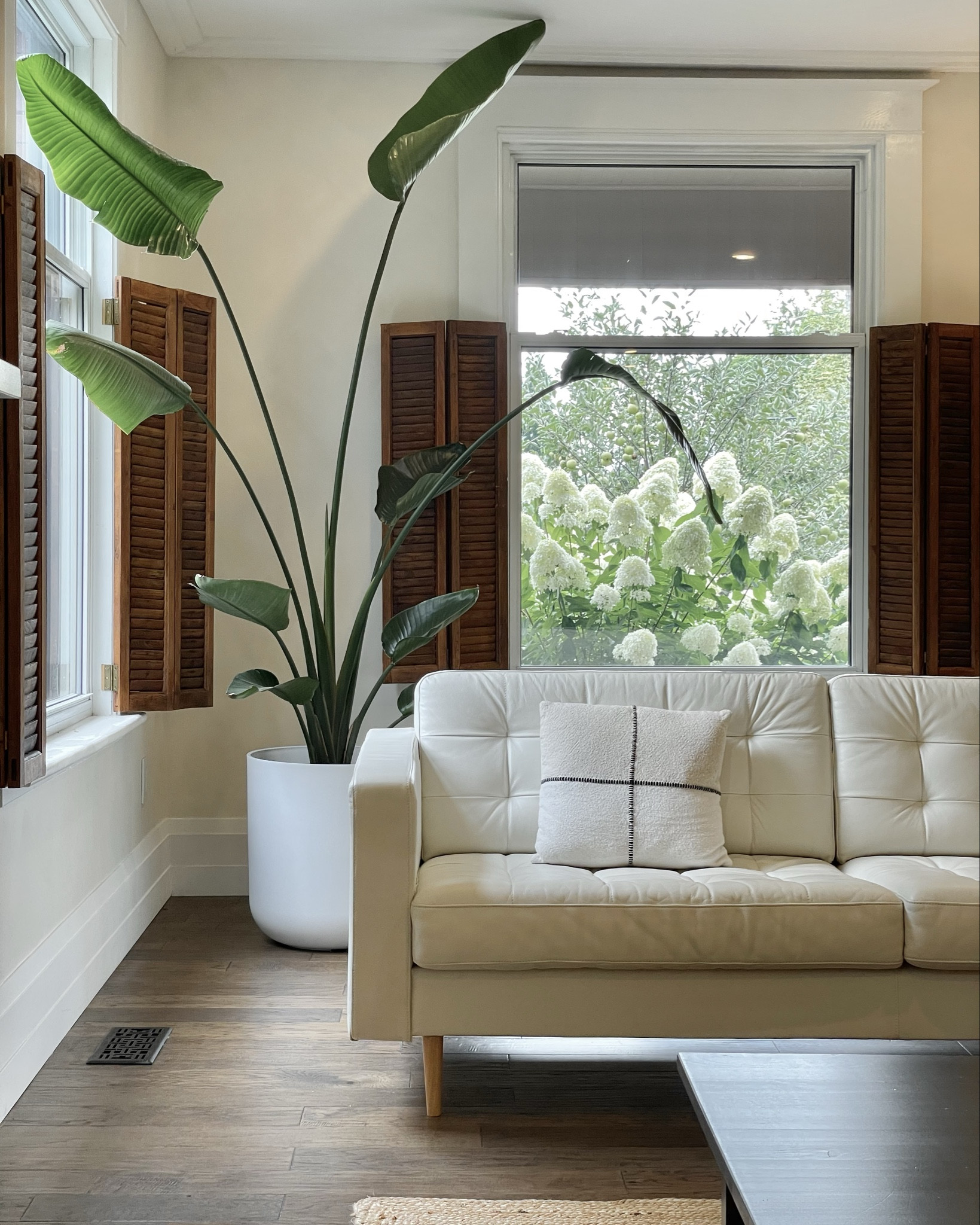 Mini living room upgrade 
#plantlover #birdofparadise #couchupcycle #ikeahack

#LTKcanada #LTKsummer #LTKcasa