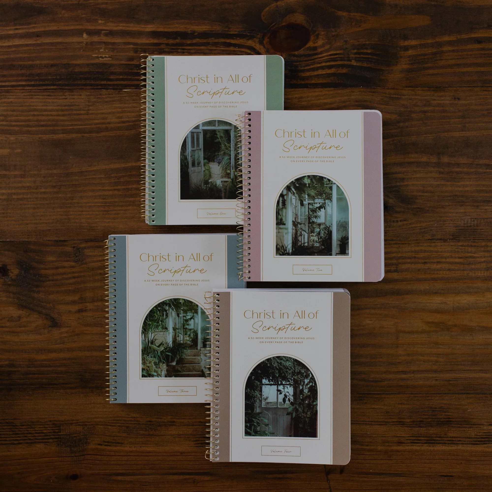 Christ in All of Scripture | 4 Volume Set | Year-Long Bible Study | The Daily Grace Co.