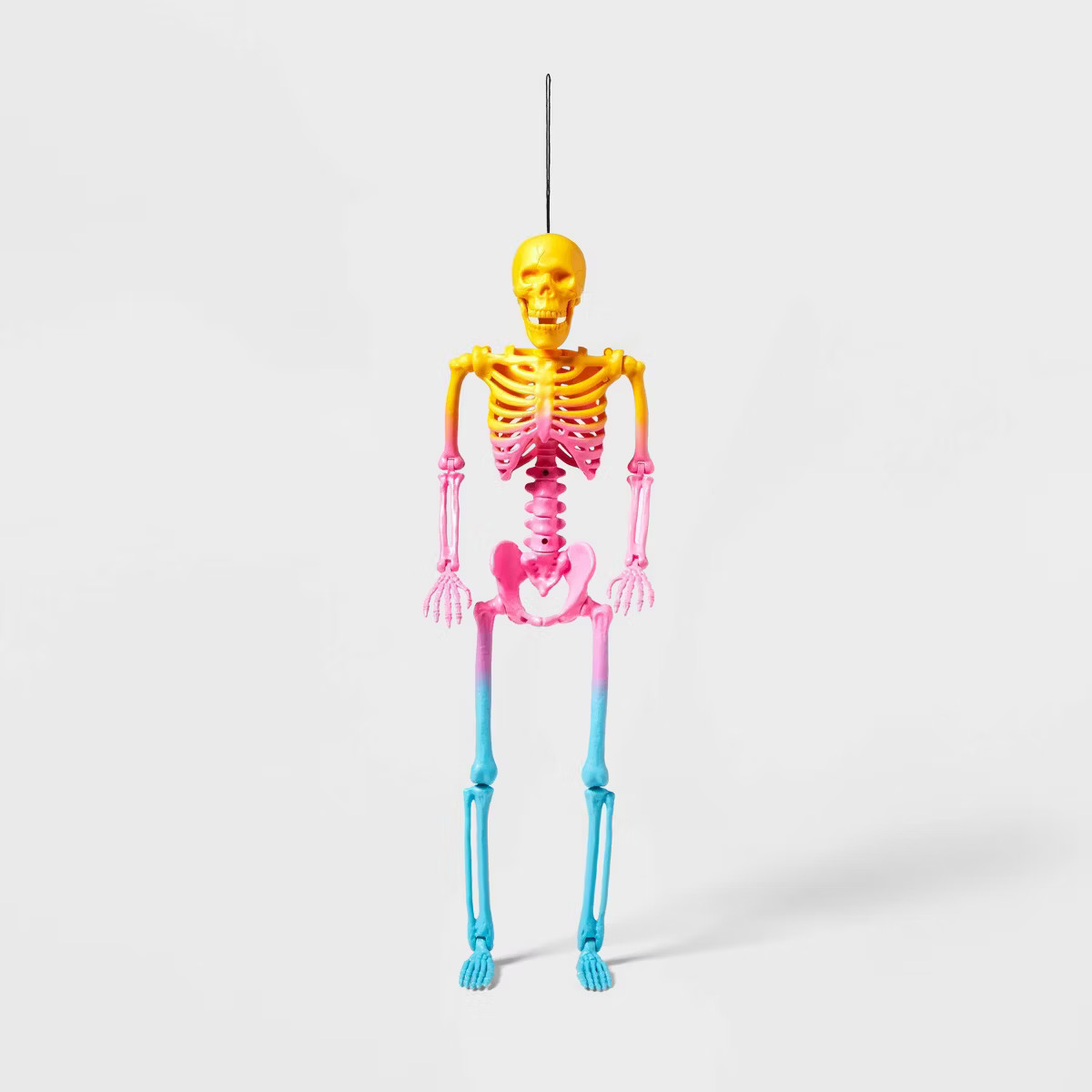 24" Ombre Night of the Vivid Dead Halloween Posable Skeleton - Hyde & EEK! Boutique™ | Target