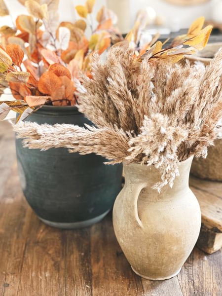 Amazon affordable Pampas grass and faux eucalyptus stems for Fall to elevate your Vases 🍂 #amazon #fall #stems #faux #pampas #pampass #pampasgrass

#LTKhome #LTKSeasonal #LTKstyletip