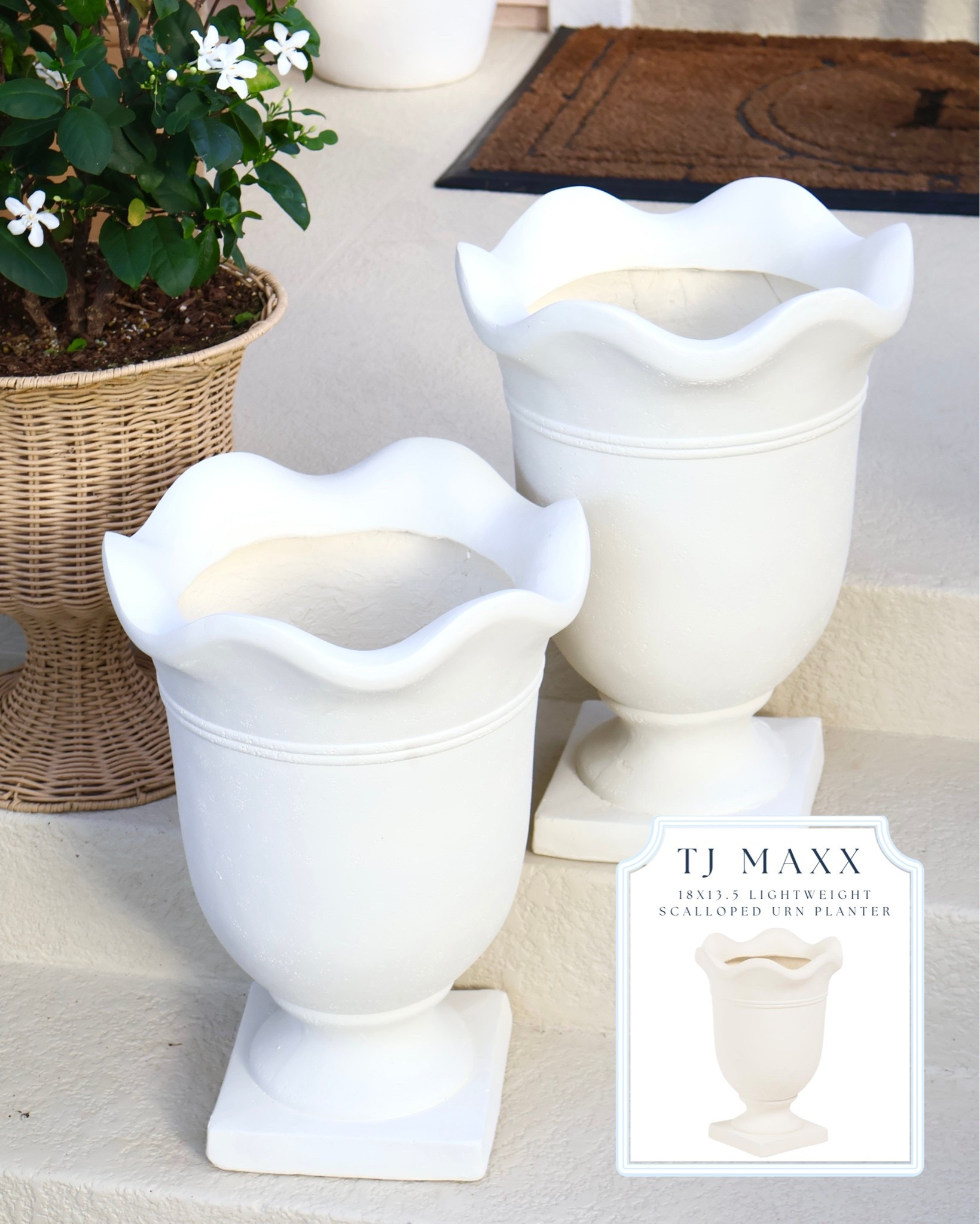 Look for Less! 18” x 13.5” lightweight fiber clay scalloped urn planters from TJ Maxx! 

🤍 TJ Maxx Find Alert! These scalloped urn planters are giving major designer vibes for a fraction of the price. Lightweight yet durable, and perfect for a coastal front porch, entryway styling, patio decor, or outdoor planters. I can already picture them filled with topiaries, hydrangeas, olive trees, or seasonal florals.

If you love Serena & Lily inspired decor, FrontGate, modern coastal home decor, and designer look for less finds, these are definitely worth grabbing before they sell out online! ✨

Free Shipping over $89 with code SHIP89 / Free Returns in store


@TJ Maxx @Marshalls

#LTKHome #LTKSeasonal