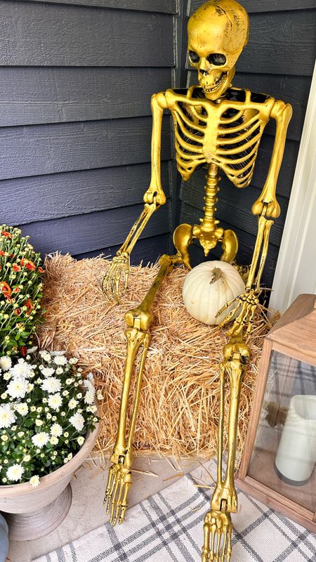 The newest addition to our Halloween decor

UndeniablyElyse.com

Skeletons, gold, Halloween decor, target finds, front porch decor, fall outdoor decor, outdoor lanterns, pumpkins

#LTKSeasonal #LTKhome #LTKHalloween