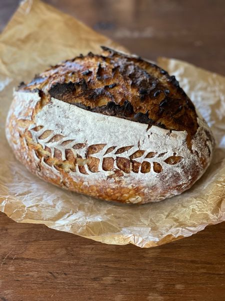 I’m sharing our favorite sour dough tools and sourdough starter. Nothing better than homemade bread! Enjoy!

#LTKhome