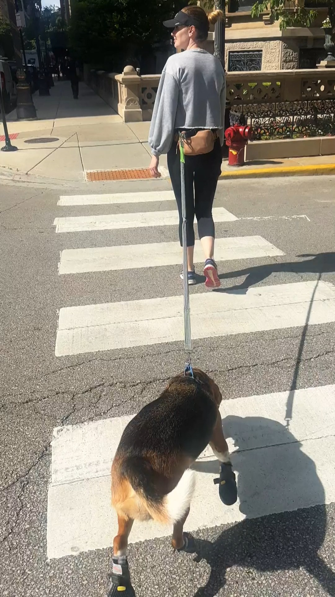 🐾 Protect those precious paws with these Dog Paw Protector Shoes! ☀️❄️ Designed to keep your furry friend safe from hot pavement, snow, or rough terrain, these durable booties offer comfort, grip, and style in every step. 🐶 Easy to put on and stay secure, they’re perfect for walks, hikes, and everyday adventures. Give your pup the ultimate paw protection while looking totally adorable! 💕

#LTKFinds #LTKPet #LTKDogMom #DogBoots #PawProtection #PetEssentials #DogShoes #OutdoorDogs #PetSafety #FurBabyLove #DogGear #PetComfort #DogStyle #HotPavementProtection #WinterDogBooties 

 #LTKPets