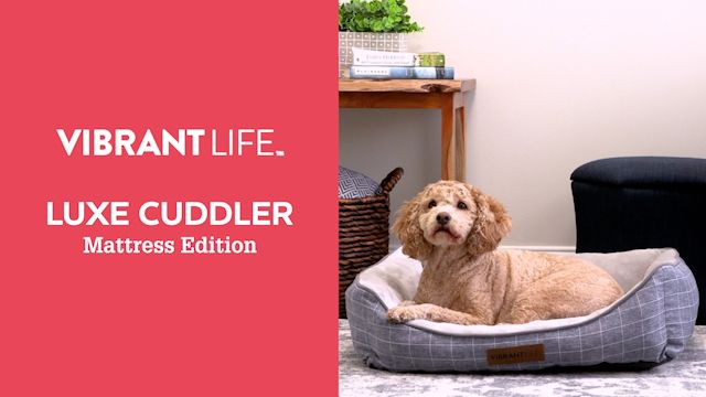 Vibrant Life Luxe Cuddler Mattress Edition | Walmart (US)