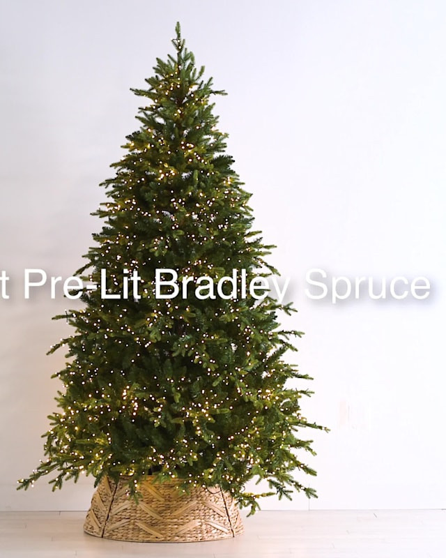 (B5) Pre-Lit LED Bradley Spruce Christmas Tree, 7.5' | At Home