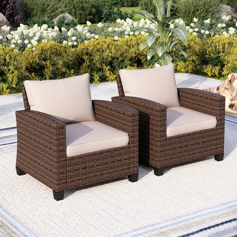Argyri Patio Chair with Cushions | Wayfair North America