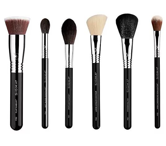 Sigma 6 Piece Face Brush Set - QVC.com | QVC