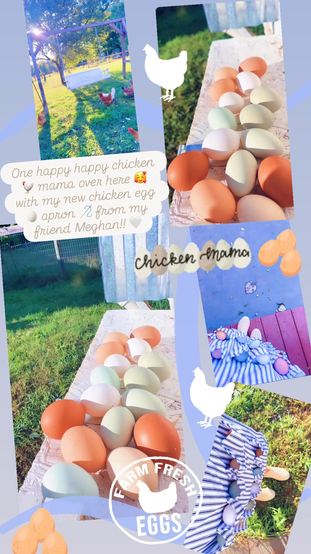 One happy happy chicken 🐓 mama over here 🥰 with my new chicken egg 🥚 apron 🪡 from my friend Meghan!! 🤍