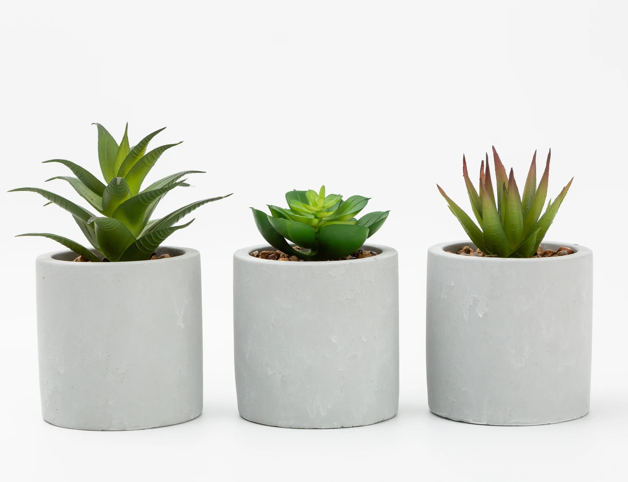 Mainstays 3-Piece Succulent Set in Gray Cement Planters | Walmart (US)