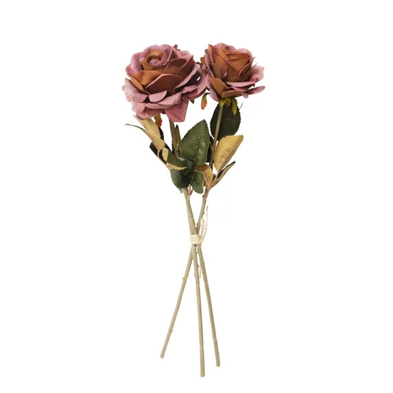 My Texas House Light Brown Rose Bundle | Walmart (US)