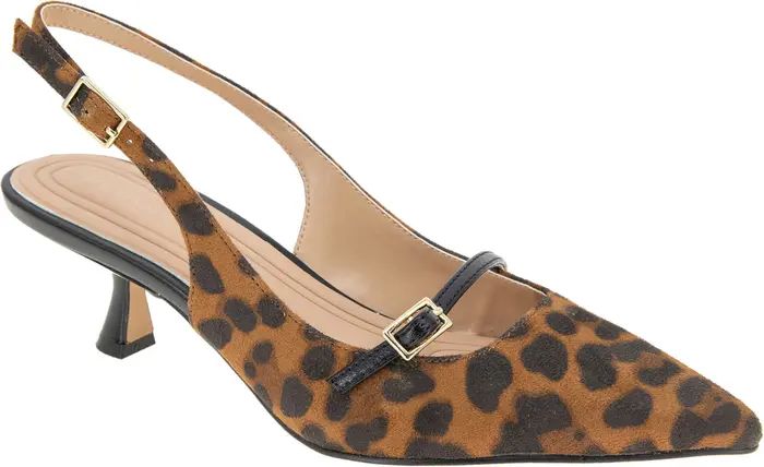 Kami Pointed Toe Kitten Heel Pump (Women) | Nordstrom