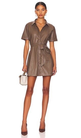 Soho Mini Dress in Coco | Revolve Clothing (Global)