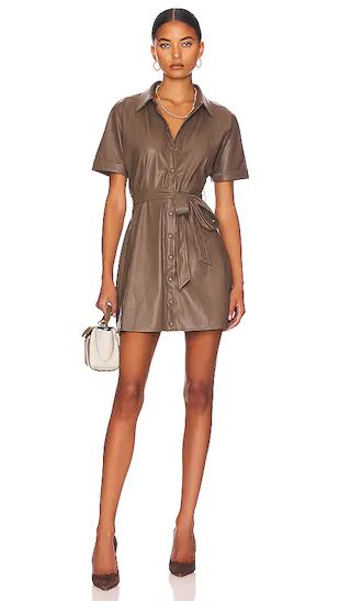 Soho Mini Dress in Coco | Revolve Clothing (Global)