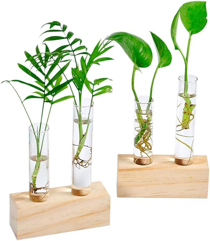 Ivolador Glass Propagation Glass Test Tube Plant Terrarium for Hydroponic Plants Home Garden Deco... | Amazon (US)
