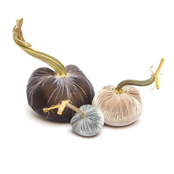 Moody - 007 | Hot Skwash