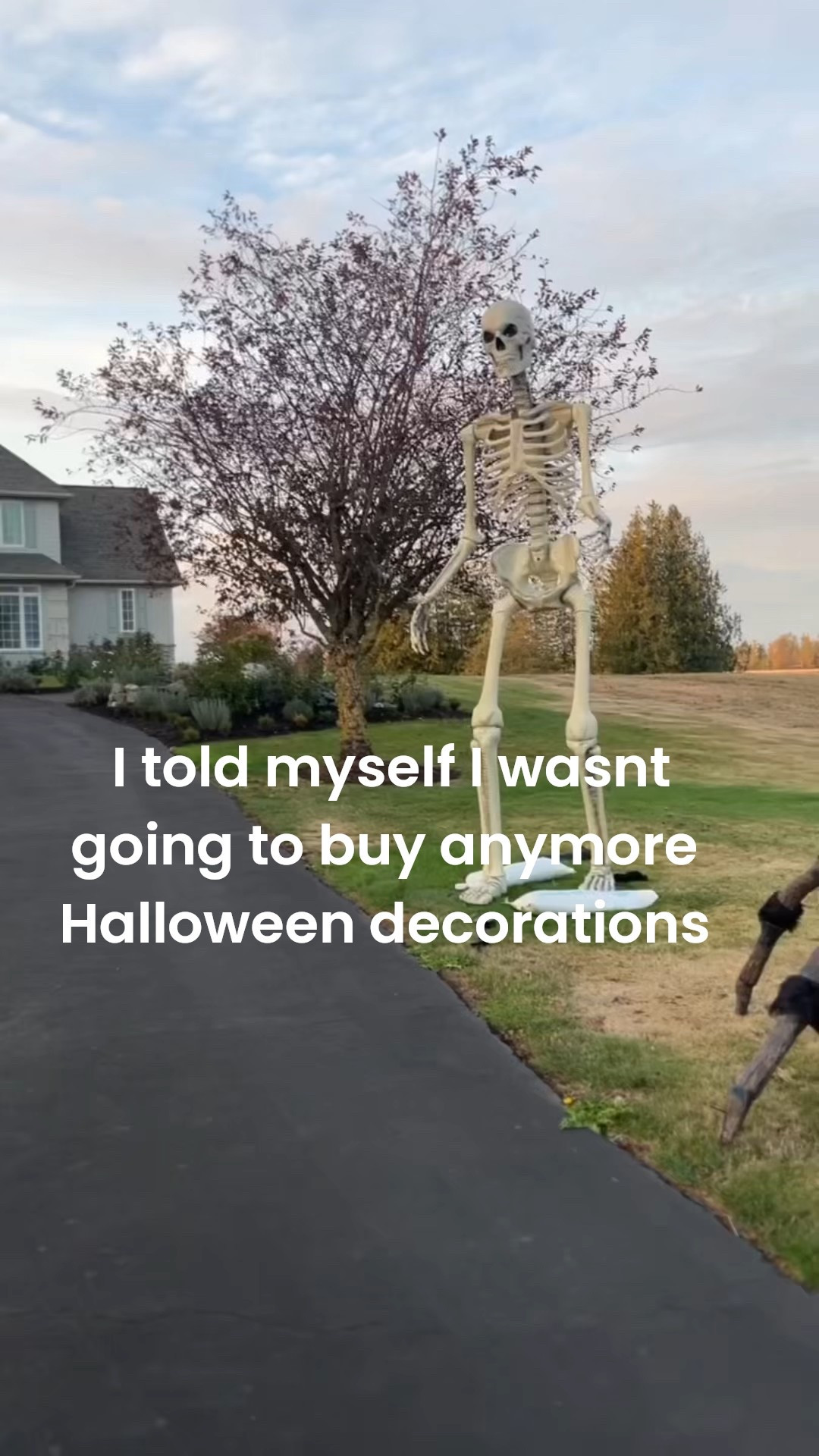 I tried …. 

#LTKHome #LTKSeasonal #LTKHalloween