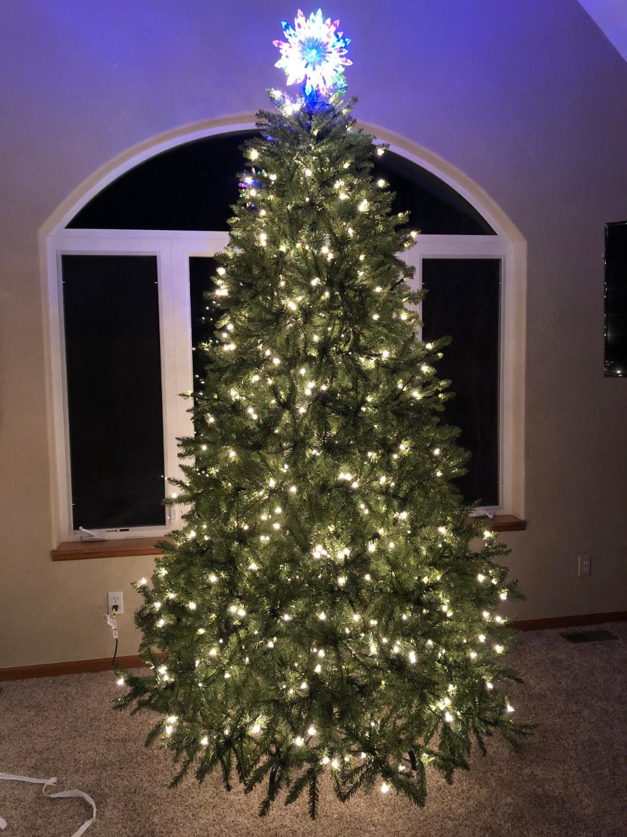 National Tree Company 7.5 ft Pre-Lit Dunhill Fir Artificial Christmas Tree, 600 Clear Lights, 2,1... | Amazon (US)