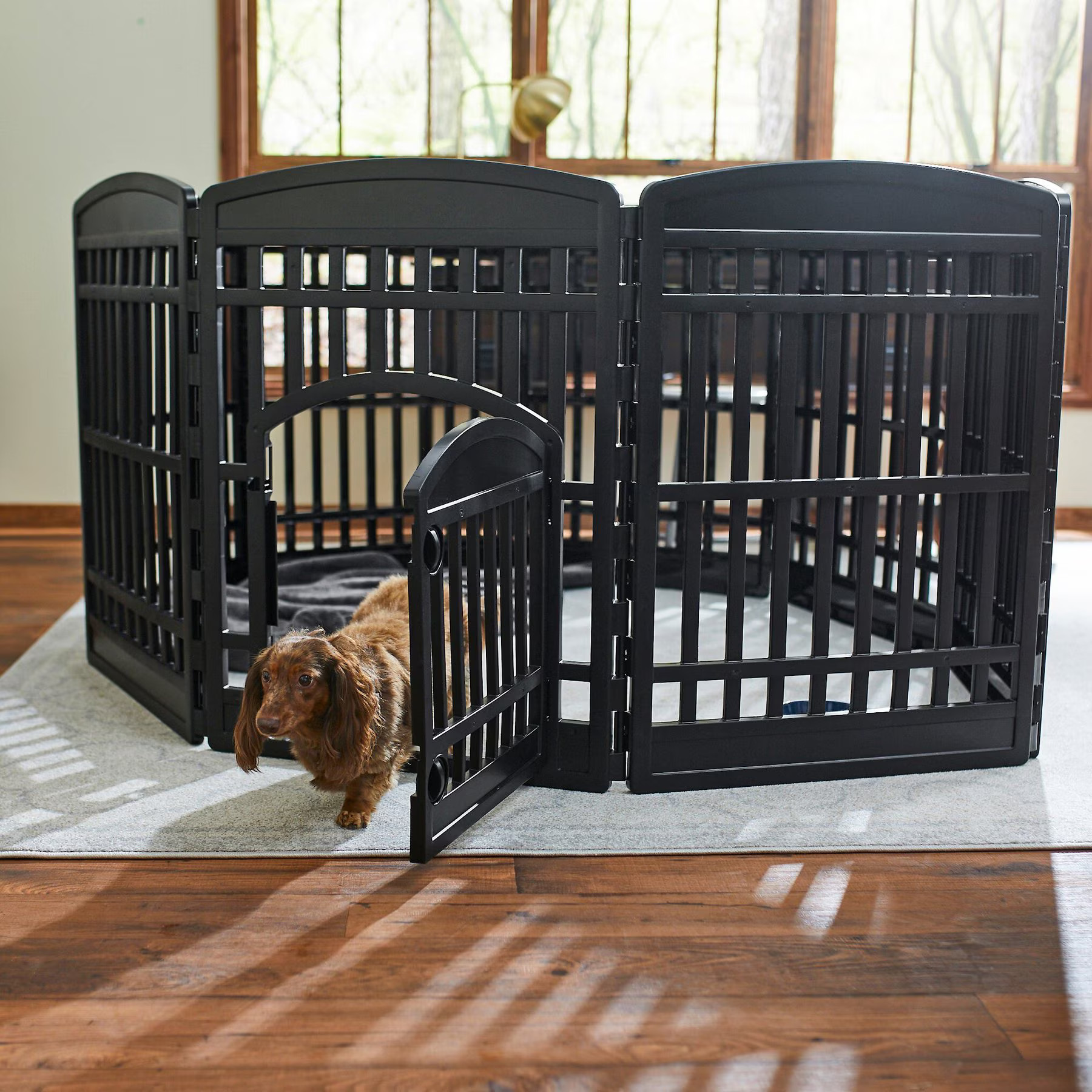 Frisco 8-Panel Plastic Exercise Dog Playpen, 34"H, Black | Chewy