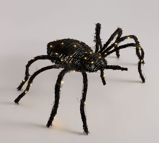 Lit Woven Spider | Pottery Barn (US)